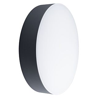 JUPE GRIS GRAPHITE POUR MONACO
