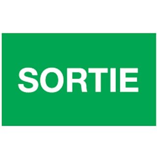 PICTOGRAMME "SORTIE" POUR BLOC SECOURS SMART PSS
