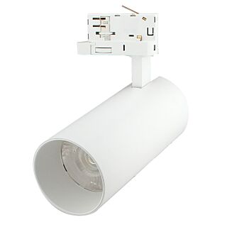 KYOTO BLANC 30W 5CCT