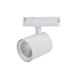 NAGOYA BLANC 42W 3CCT