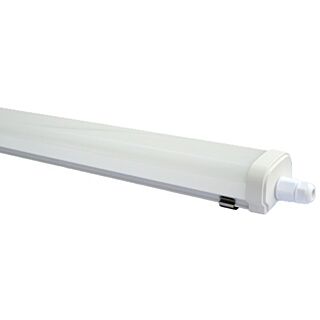 BASIC ETANCHE 1500MM 60W