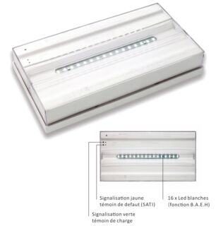 BLOC SECOURS AMBIANCE/ANTI PANIQUE SMART SS300 315LM/1H