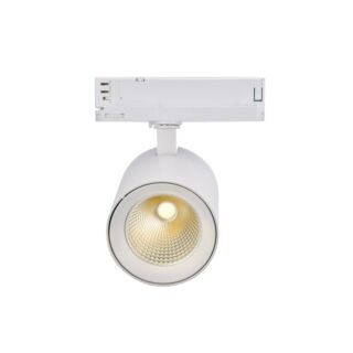 NAGOYA BLANC 42W 3CCT